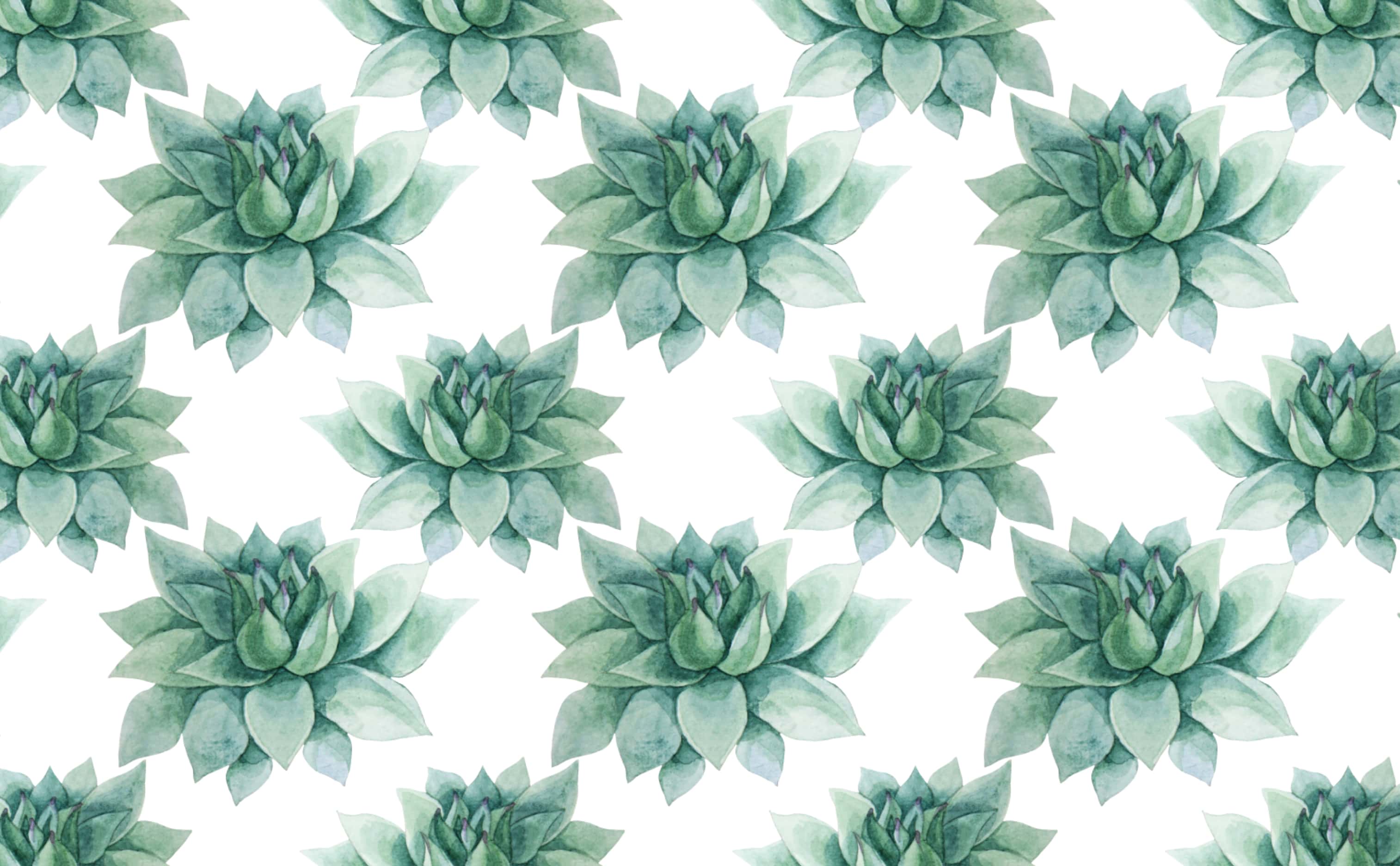 succulent backdrop Desert Star | Wallpaper