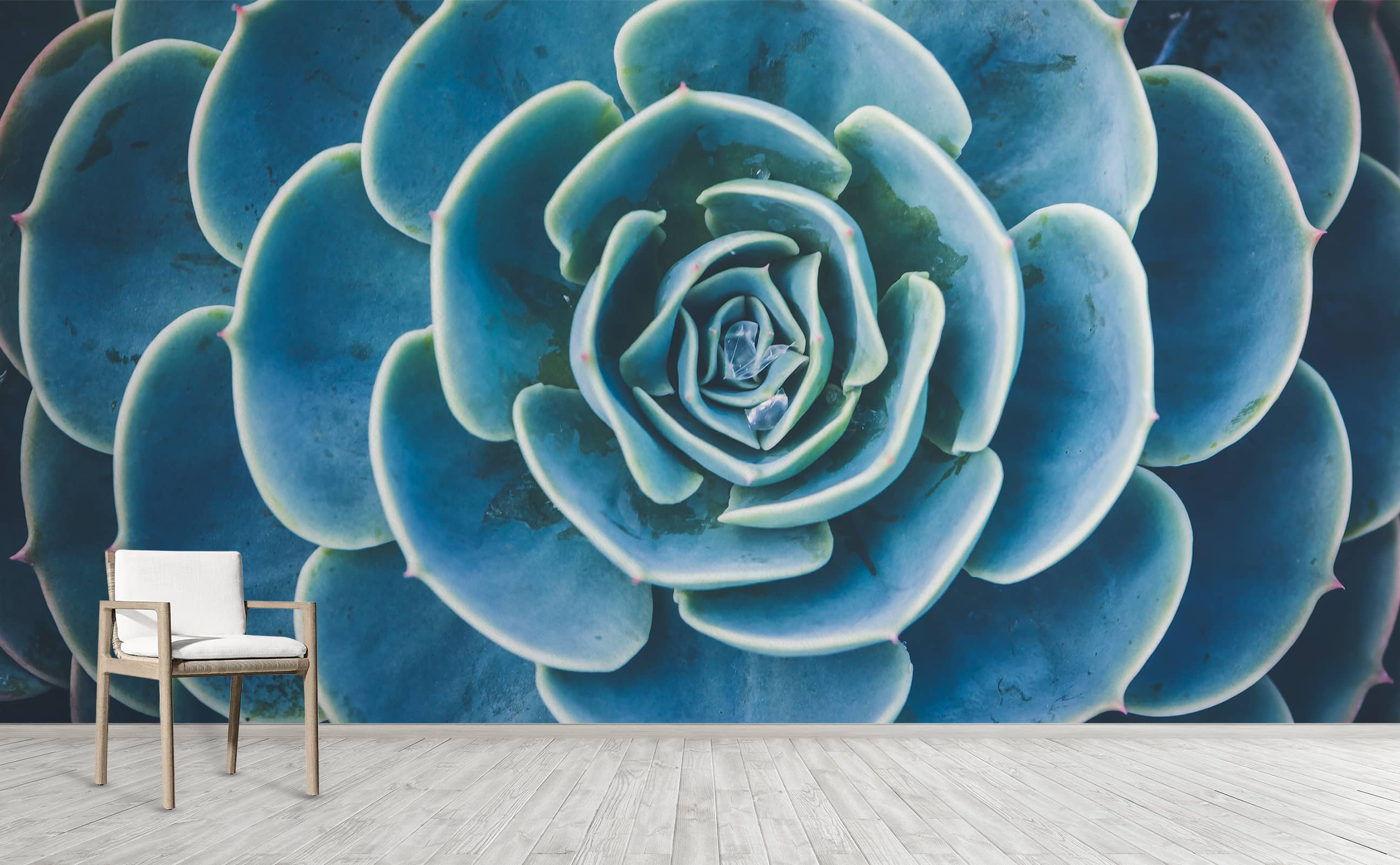 blue succulent wall art Royal Rosette | Wallpaper Mural