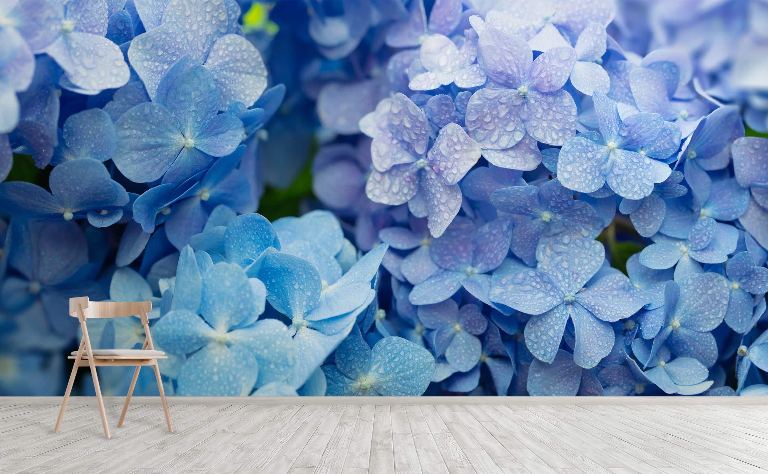 Blue hydrangea Hortensia flower high definition Wall Mural | Secret Garden
