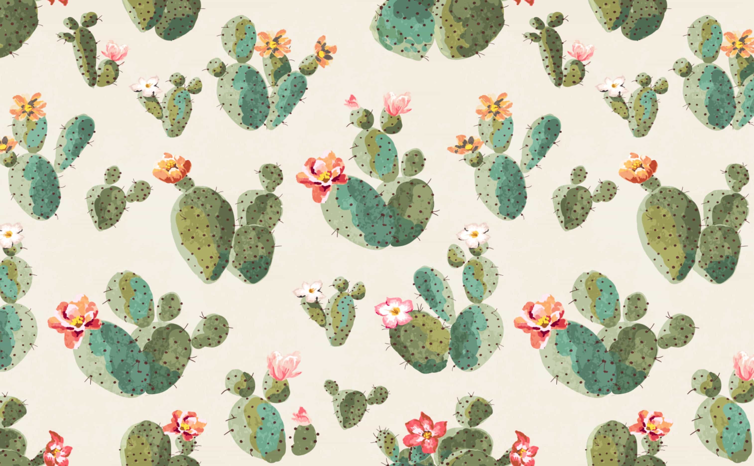 succulent plants wallpaper Cacti on Pink