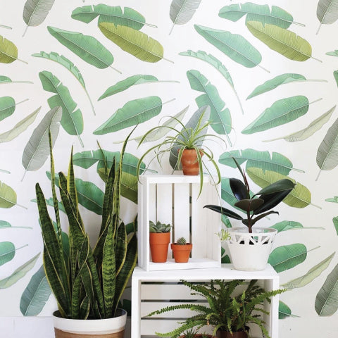 Glorious Green: Bring Nature’s Most Beautiful Shade to Your Home
