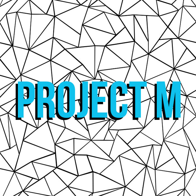 Artist Spotlight Series: Project M
