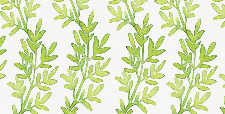 Growing Greens | Wallpaper Mural