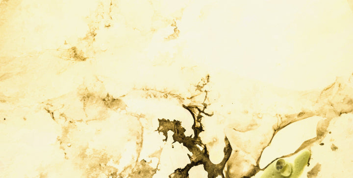 Pale | Wallpaper Mural