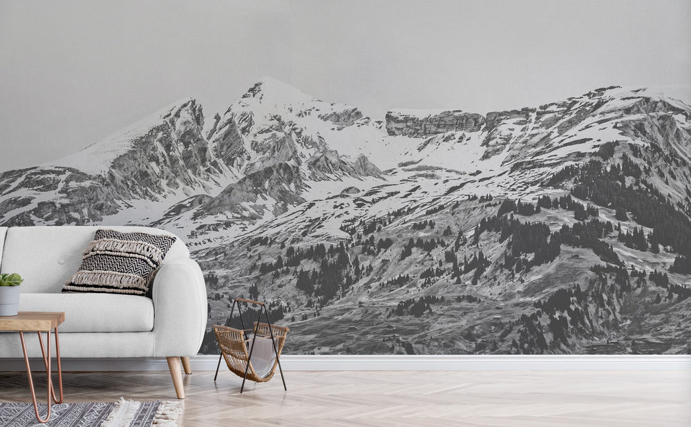 Grindelwald wall mural in a living room | Walls Need Love