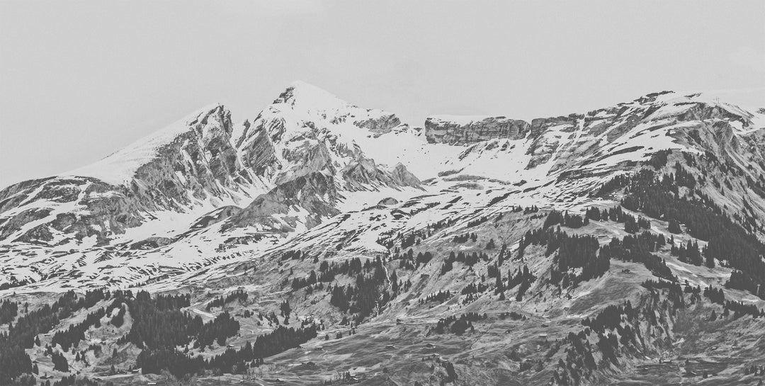 Grindelwald wall mural full design | Walls Need Love