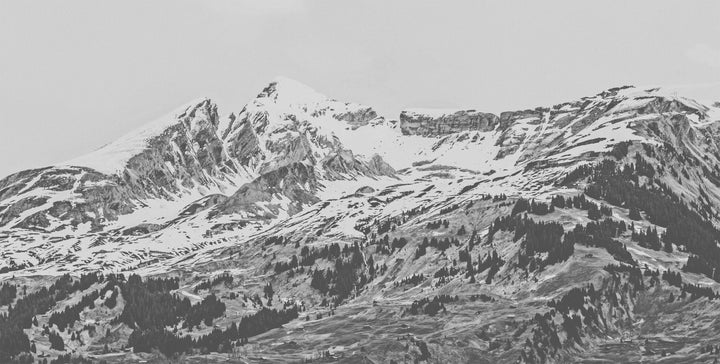 Grindelwald wall mural full design | Walls Need Love