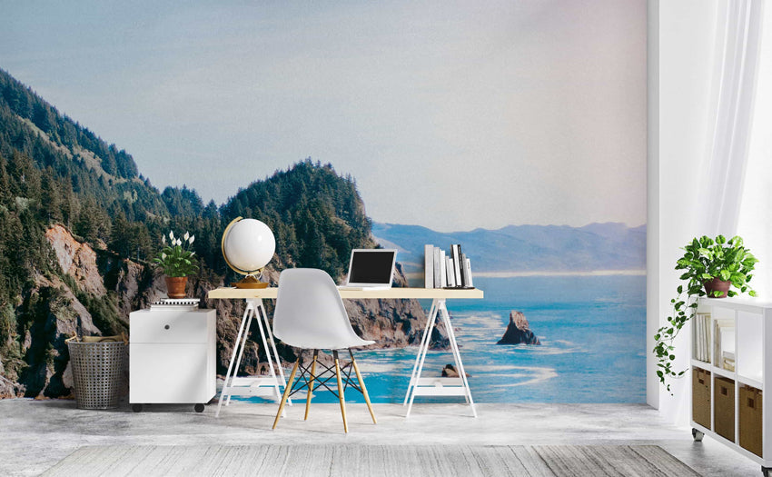 Cape Falcon wall mural in a home office | Walls Need Love