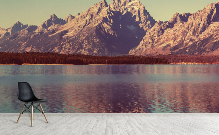 Infinite Desert wall mural on an interior wall | Walls Need Love
