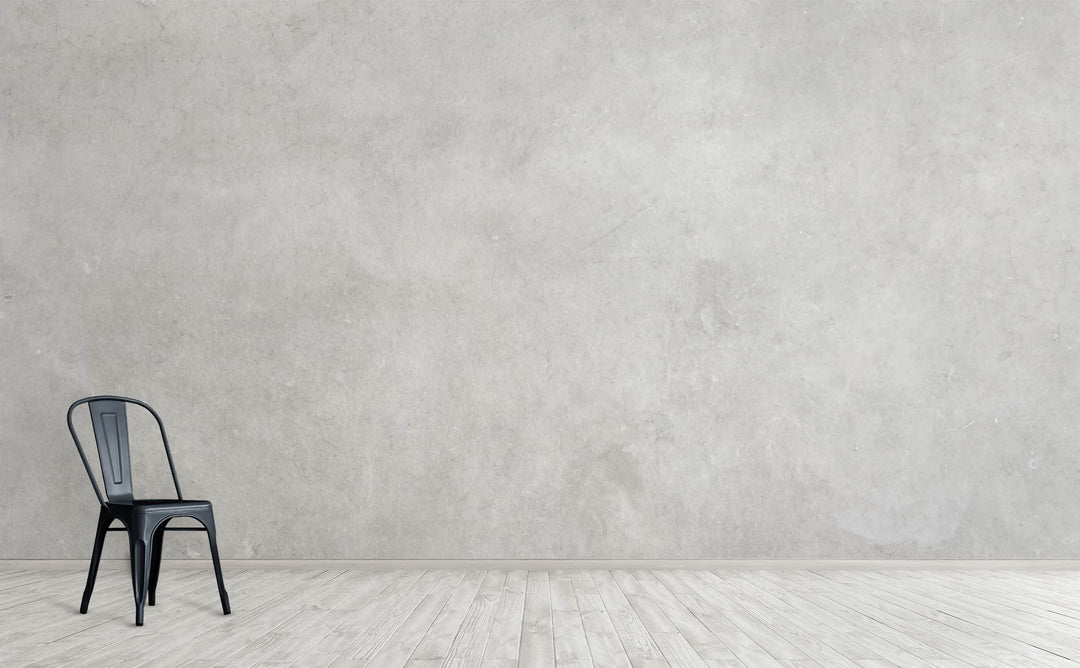 Venus Mist wall mural on an interior wall | Walls Need Love