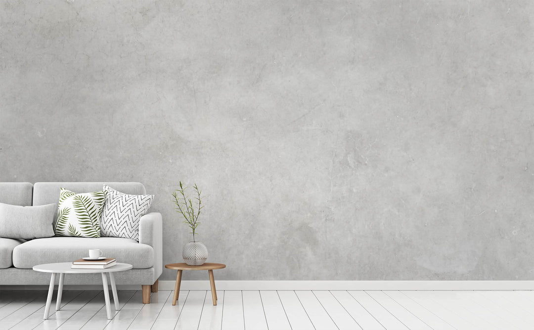 Venus Mist wall mural in a living room | Walls Need Love