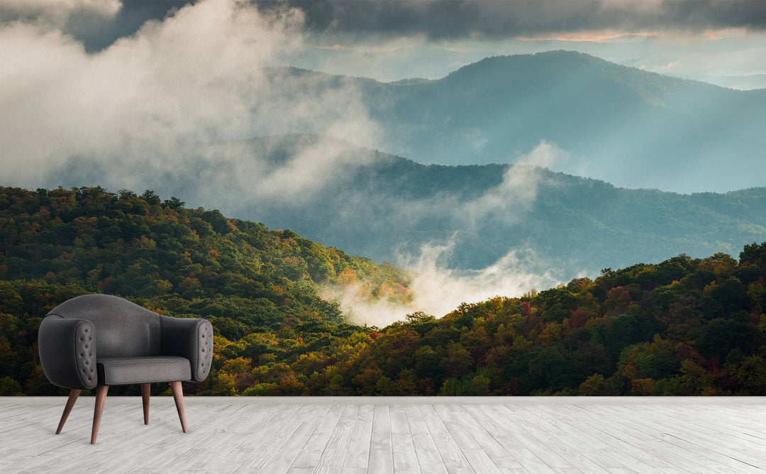 Blue Ridge Parkway wall mural on an interior wall | Walls Need Love