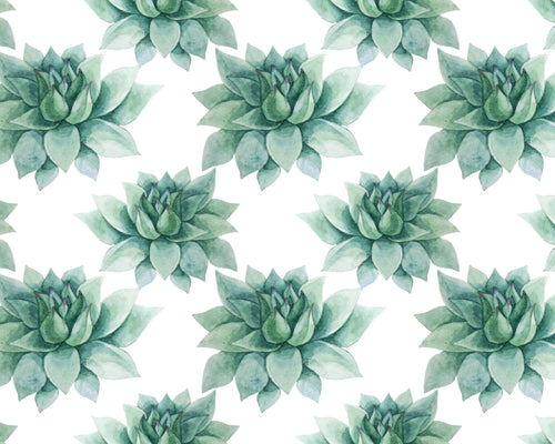 Desert Star | Wallpaper