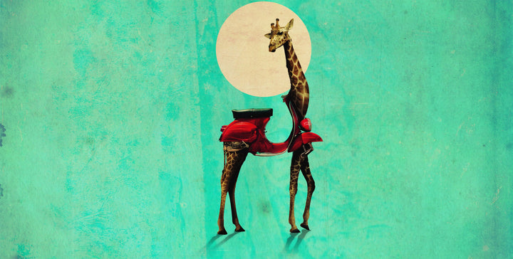 Giraffe wall mural full design | Walls Need Love