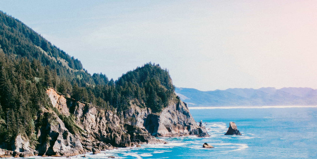 Cape Falcon Wall Mural by Walls Need Love®