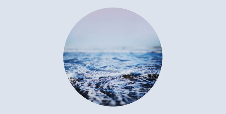 Surf Wall wall mural full design | Walls Need Love