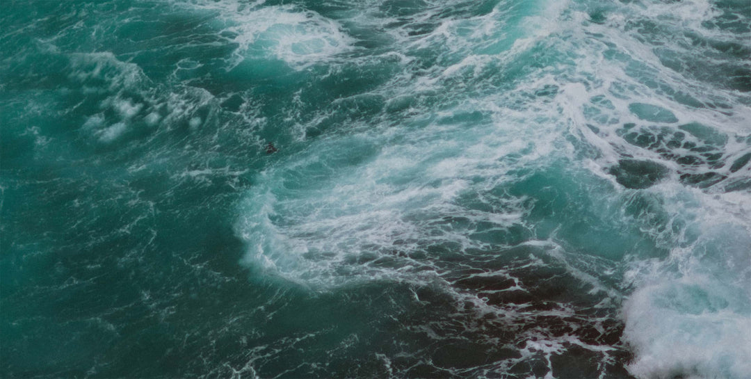 Big Sur Wall Mural by Walls Need Love®