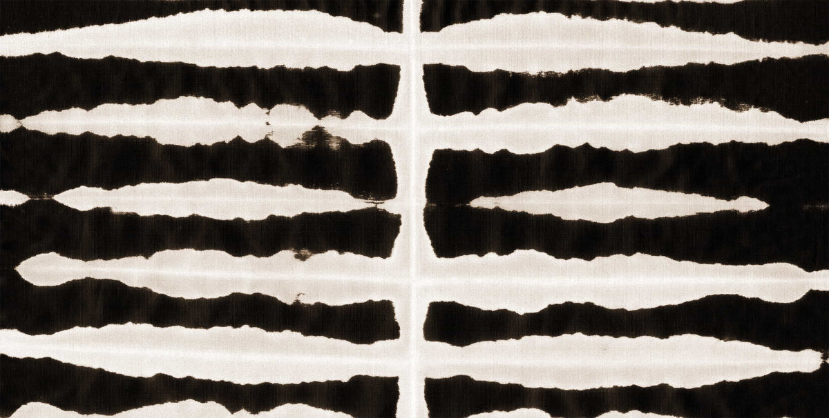 Dyed Zebra image