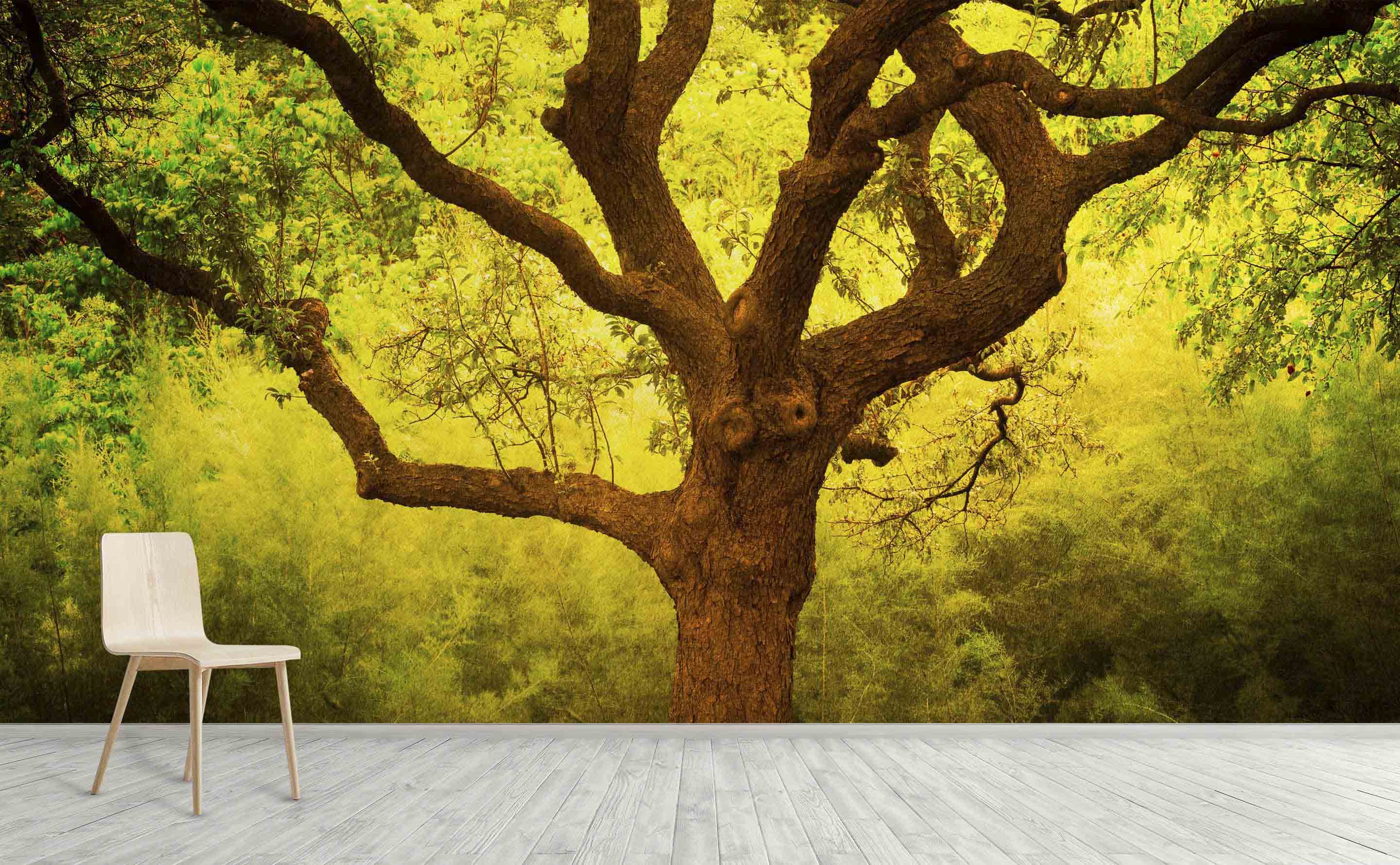 Tree Of Life Cantigney Park Il Wall Mural by Walls Need Love®