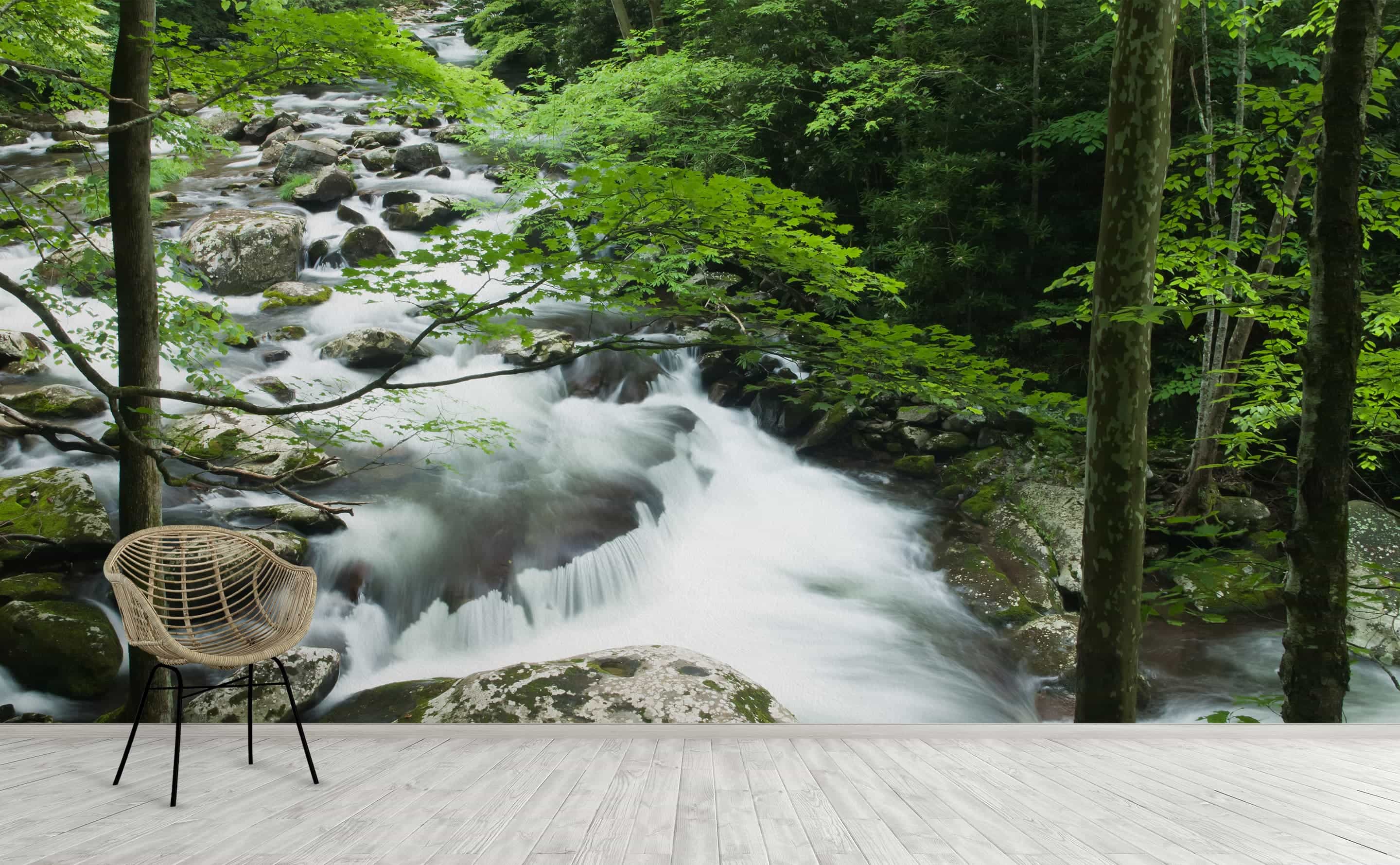 Little River Smoky Mountains Wall Mural by Walls Need Love®