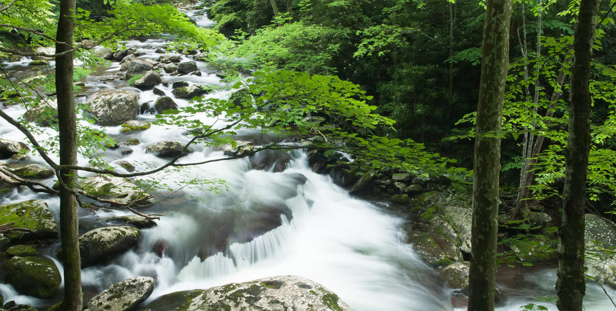 Little River Smoky Mountains image