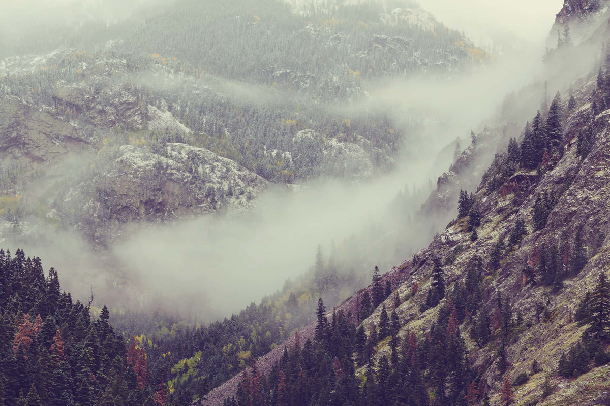 Mountain Side Fog image