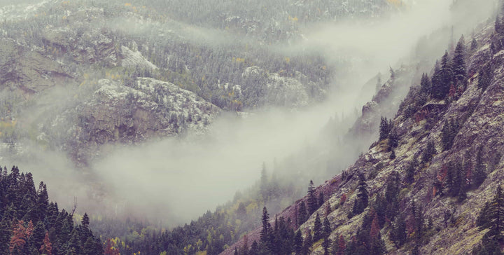 Mountain Side Fog Wall Mural by Walls Need Love