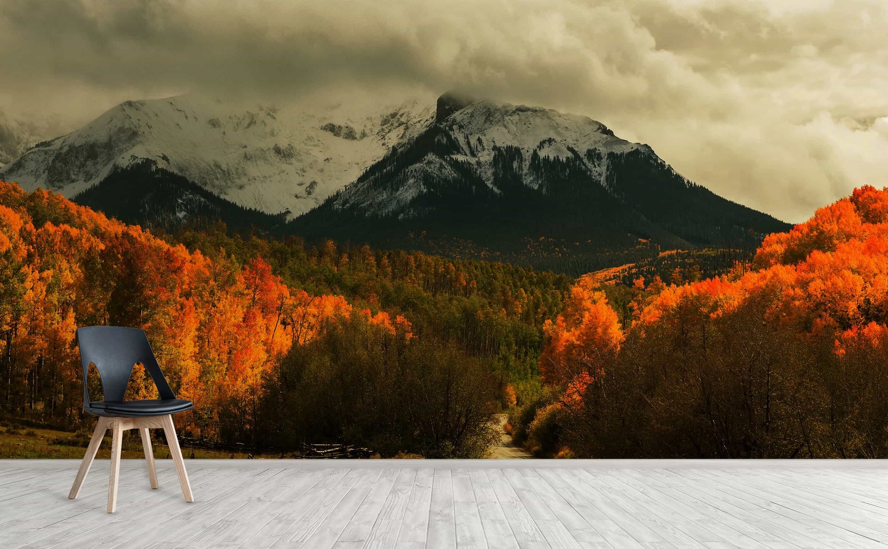 Bright Fall Forest Wall Mural | Harvest in the Colorado Mountains