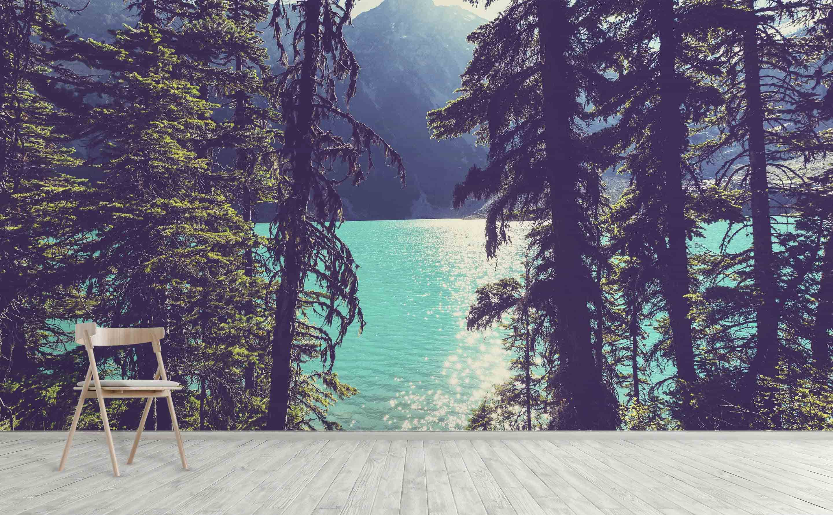 Lake Joffre Through the Trees Wall Mural by Walls Need Love®