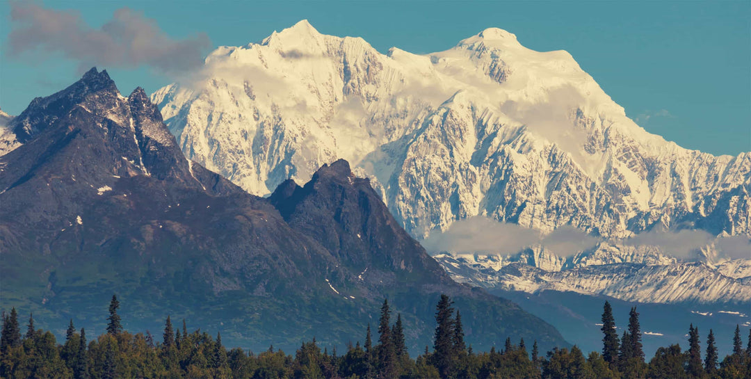 McKinley Peak Wall Mural by Walls Need Love®