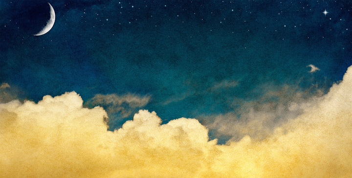 One For The Dreamers wall mural full design | Walls Need Love