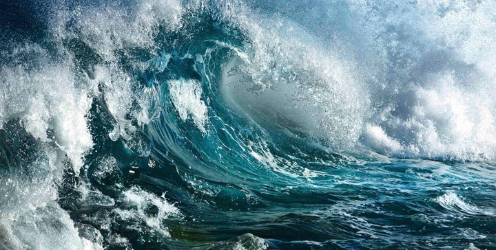 Rip Curl wall mural full design | Walls Need Love
