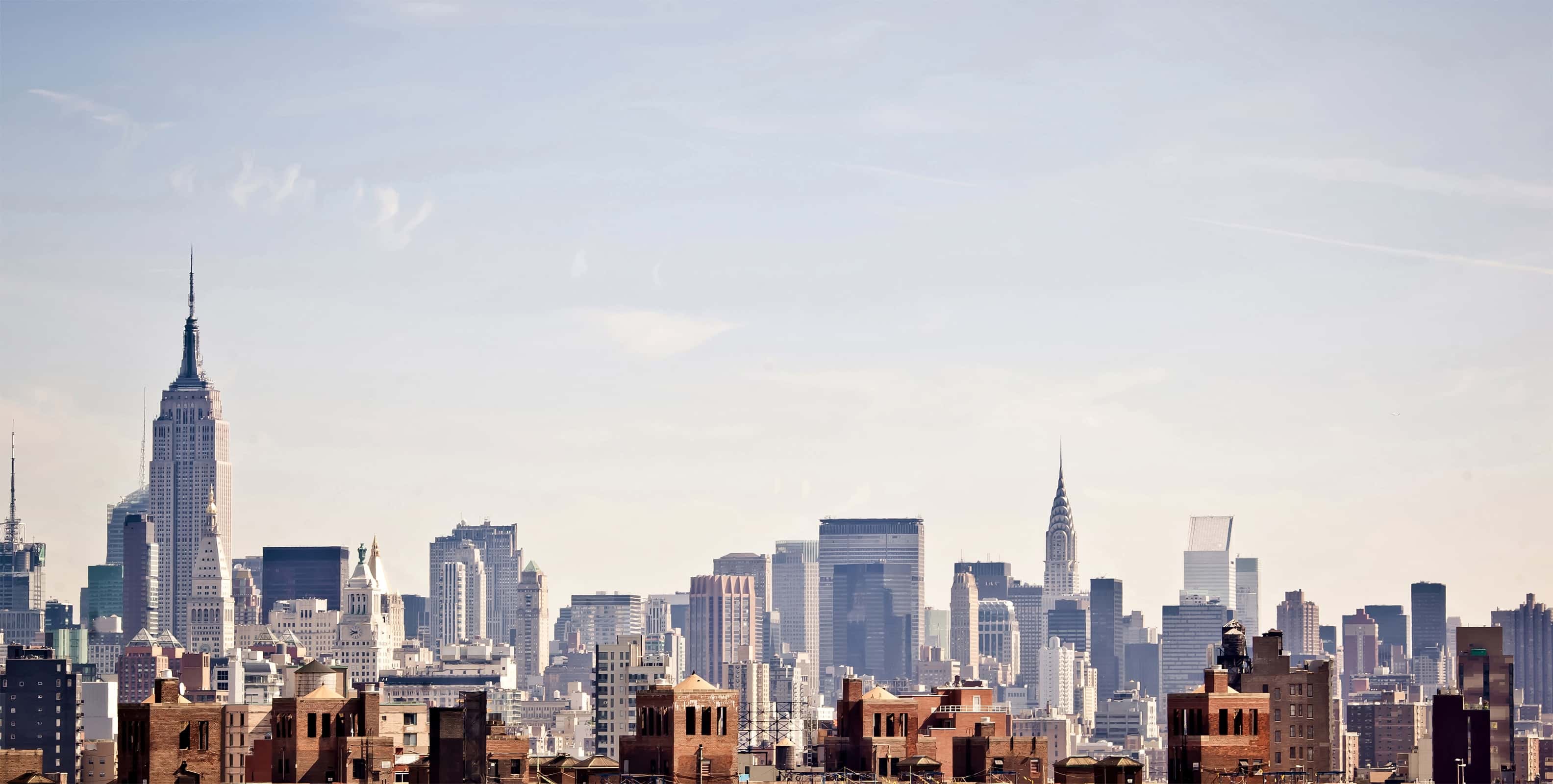 Empire State Of Mind | Wall Mural | WallsNeedLove