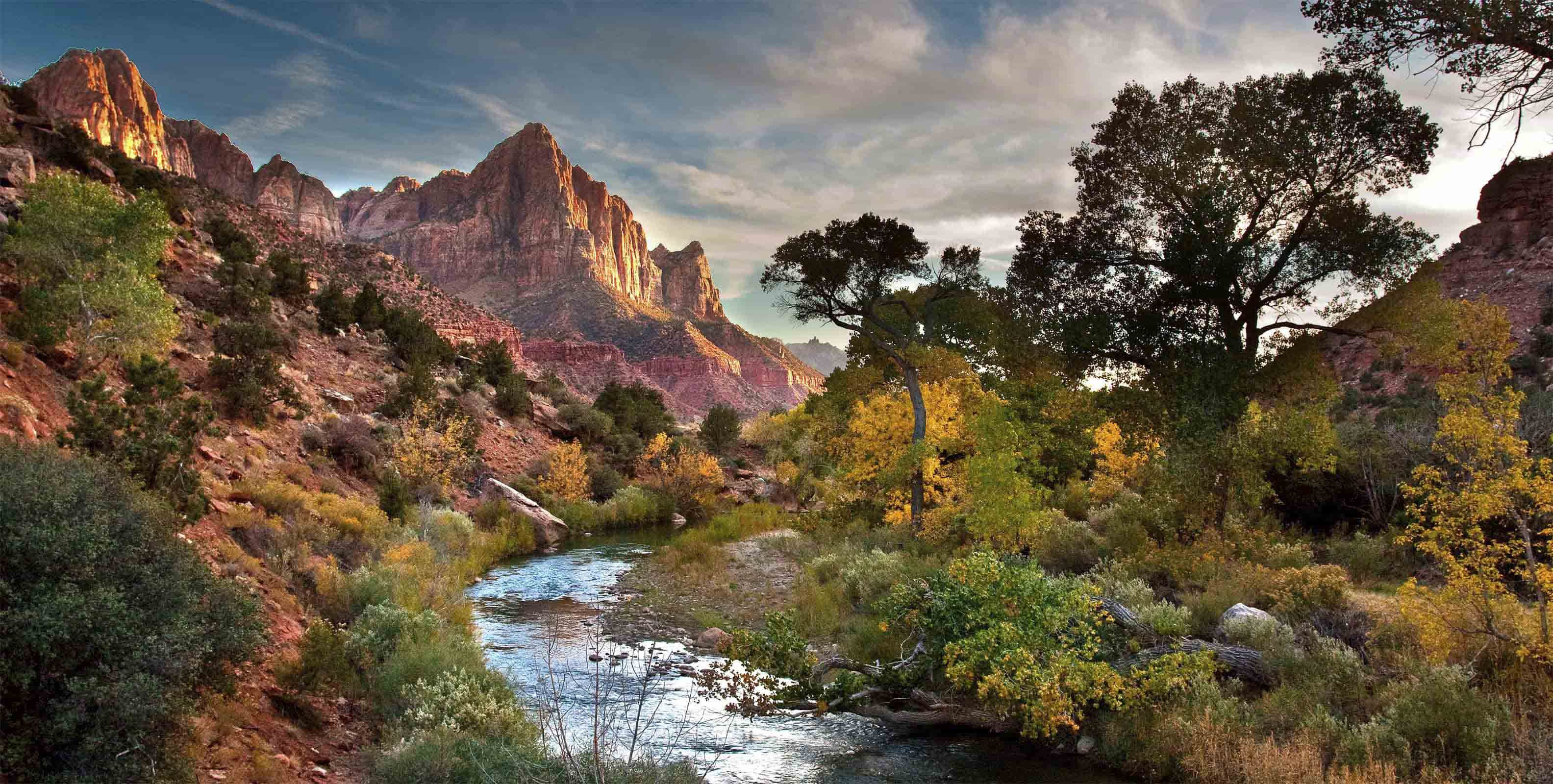 Zion National Park Wall Mural | A River Through Zion