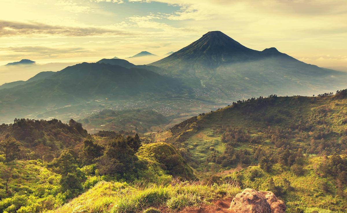 Java Mountain | Wall Mural | WallsNeedLove