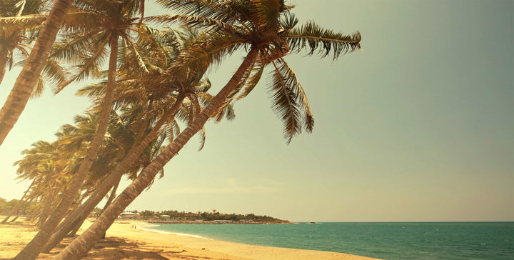 Serenity Beach wall mural full design | Walls Need Love