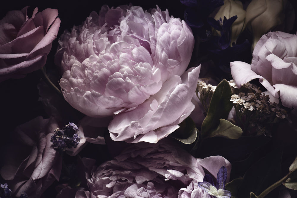 Lavender Nights Wall Mural by Walls Need Love