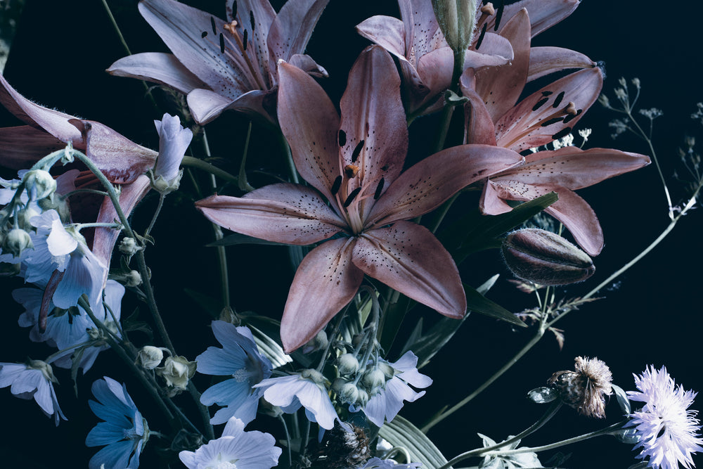 Night Lilly Wall Mural by Walls Need Love
