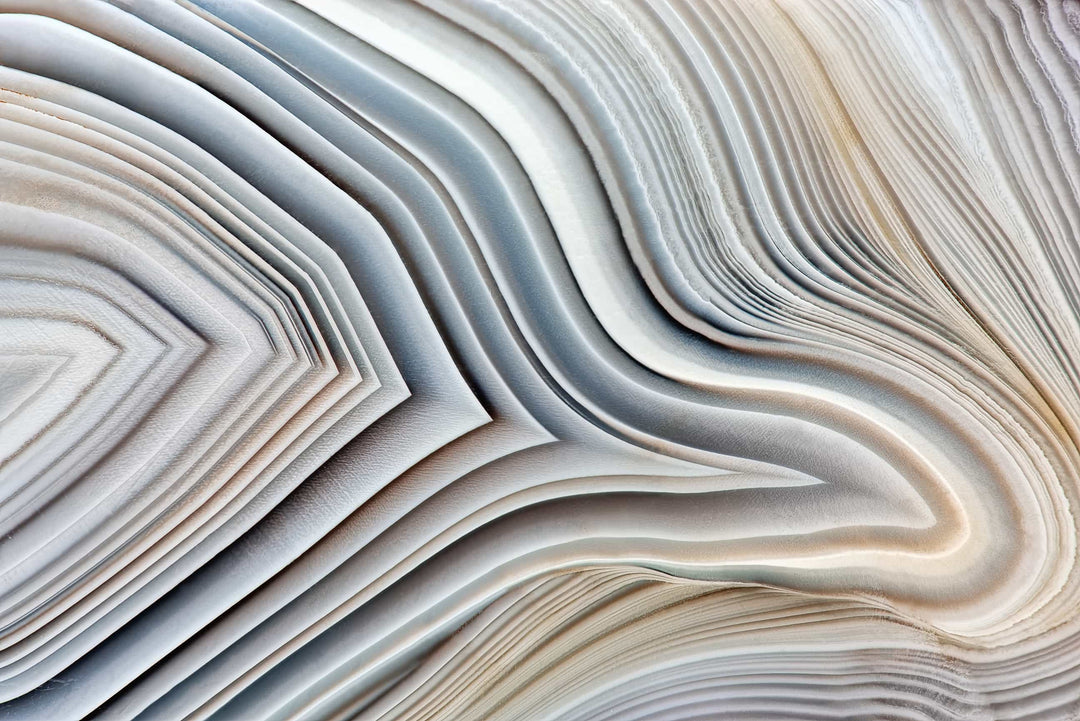 Black and Tan Wall Mural by Walls Need Love®