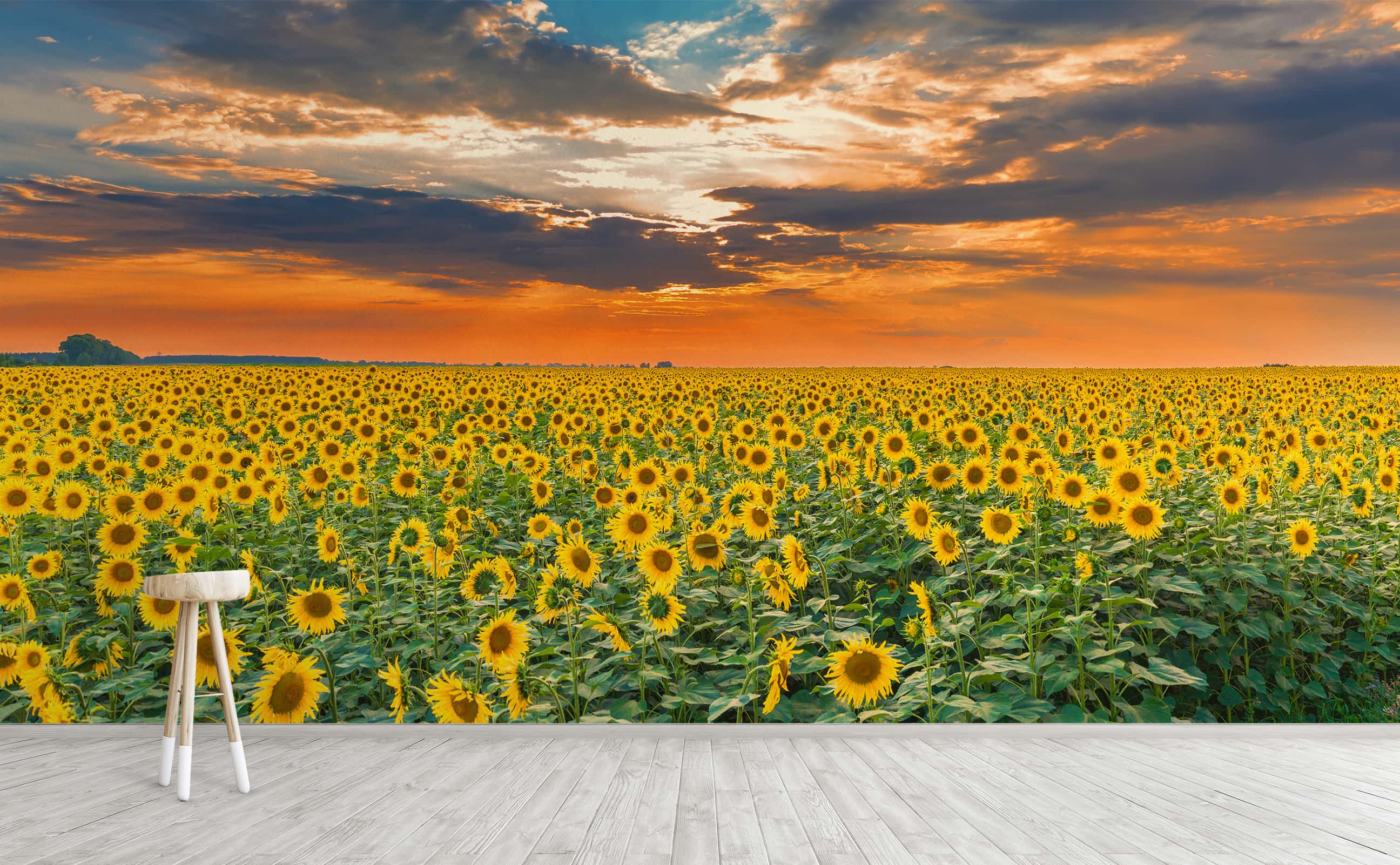 Setting Sunflower Wall Mural by Walls Need Love®