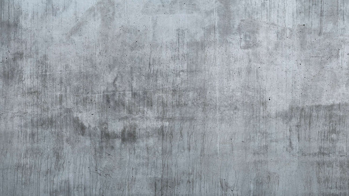 Lasting Shadows wall mural full design | Walls Need Love
