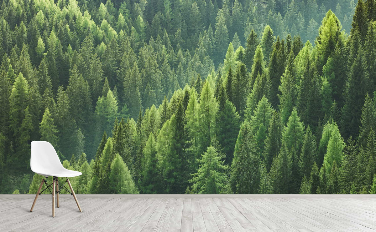 Green pine forest valley landscape Wall Mural | Evergreen