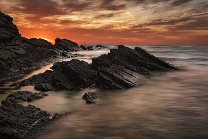 Low Tide wall mural full design | Walls Need Love