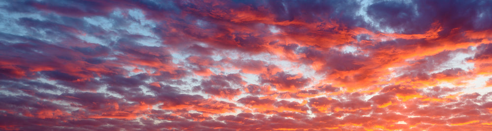 Eternal Sunset Wall Mural by Walls Need Love