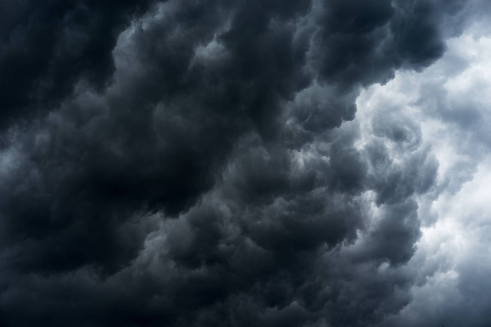 Thunder Rolls Wall Mural by Walls Need Love