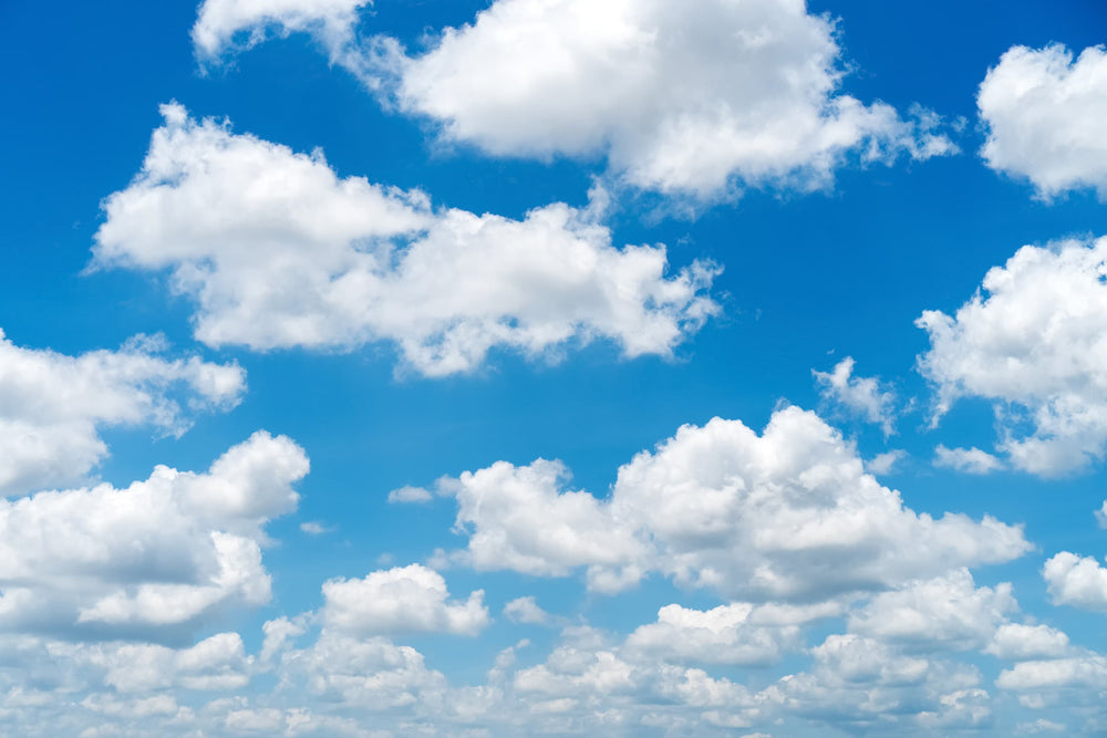 Clouds on Parade Wall Mural by Walls Need Love