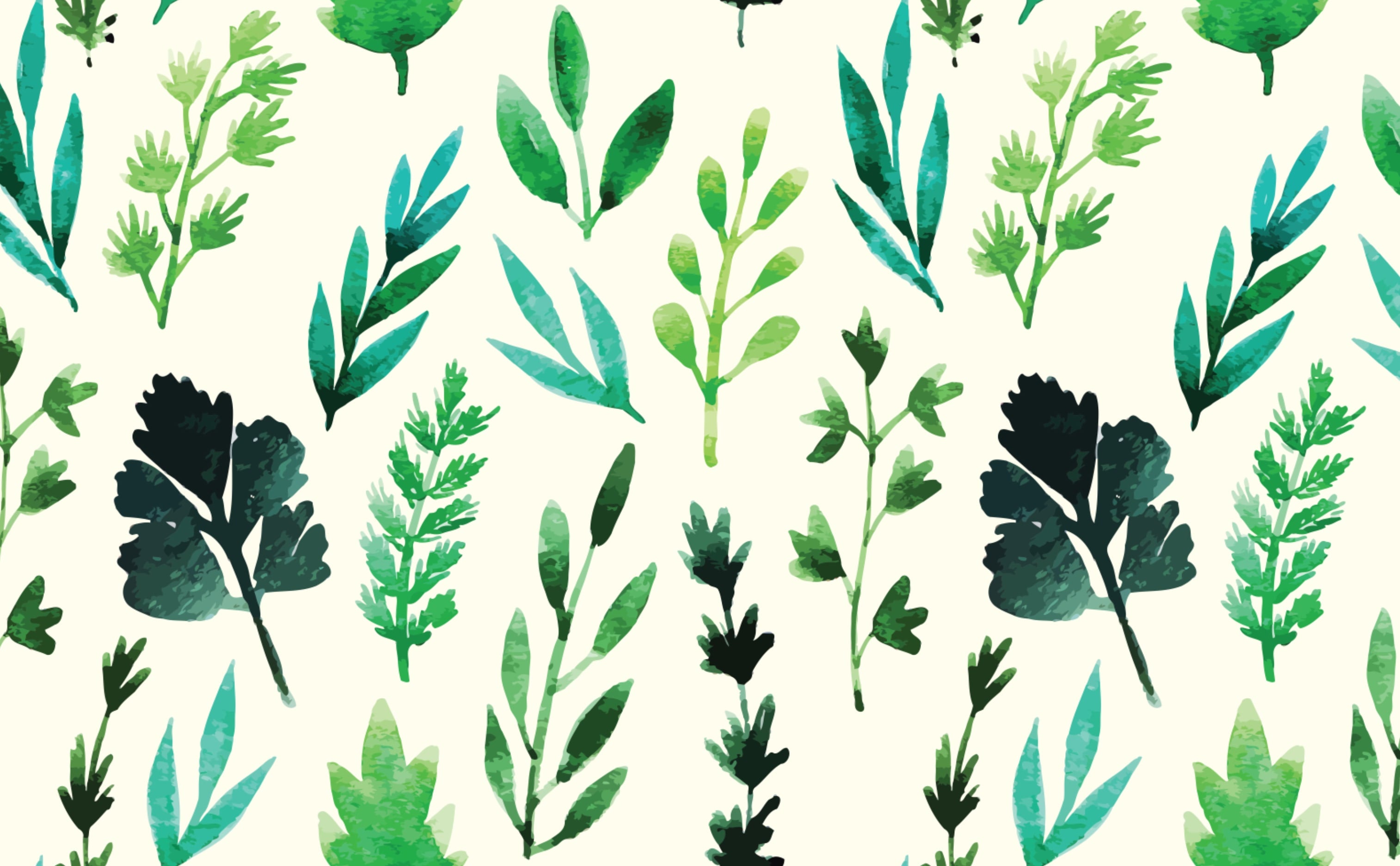 Wallpaper of herbs drawn in watercolor  Stock Illustration 49126603   PIXTA