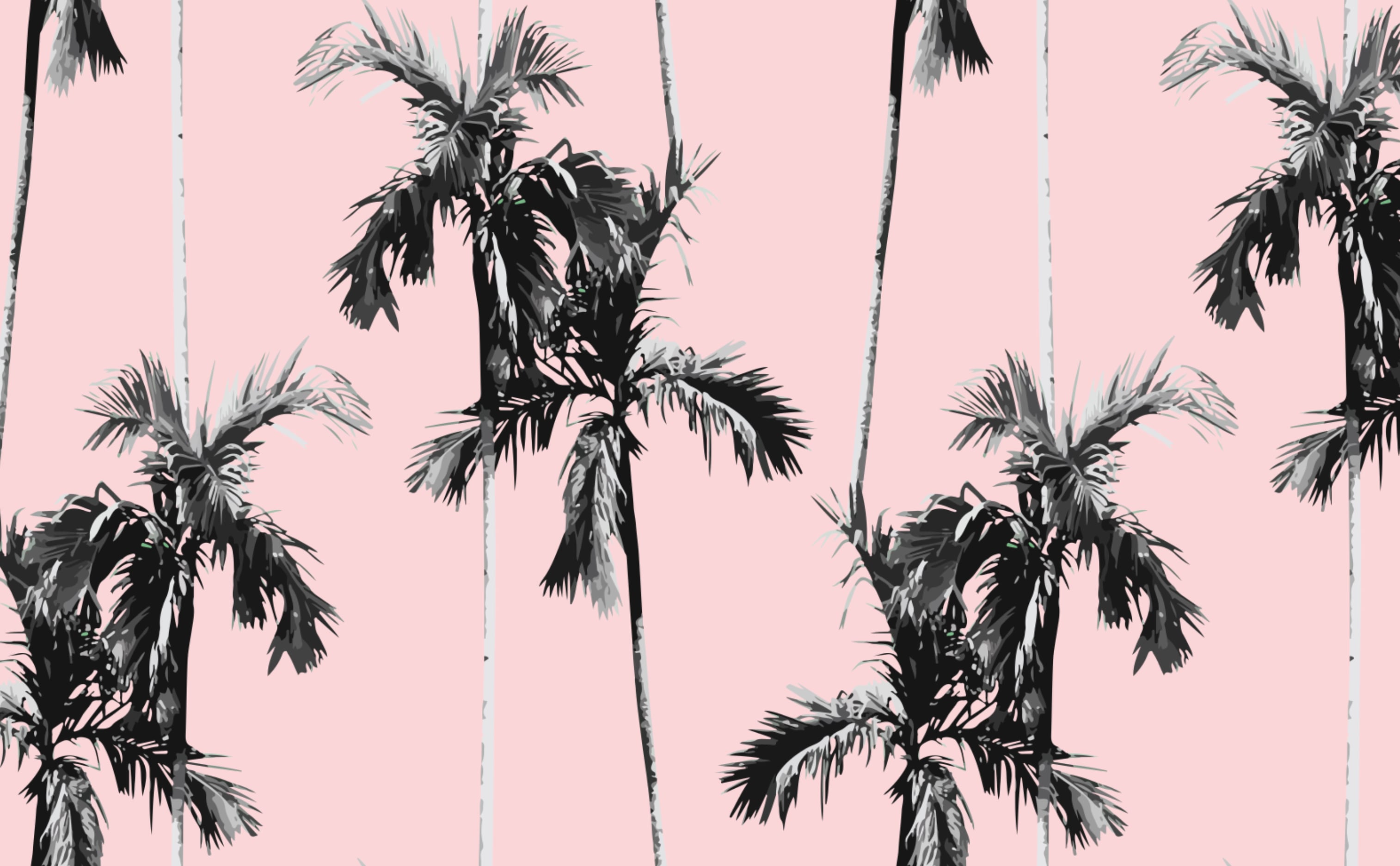 30600 Pink Palm Tree Stock Photos Pictures  RoyaltyFree Images   iStock  Neon pink