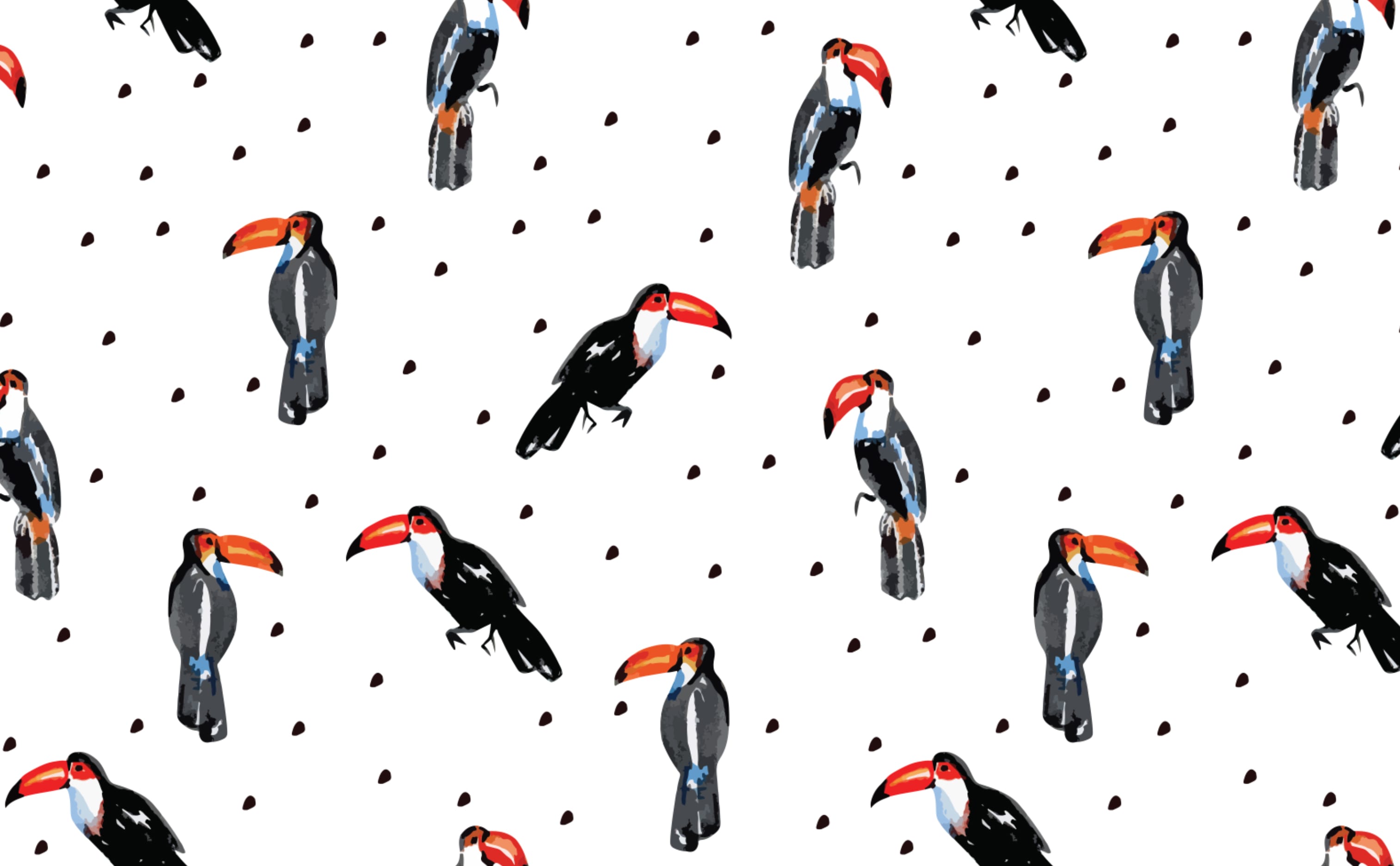 Too Many Toucans