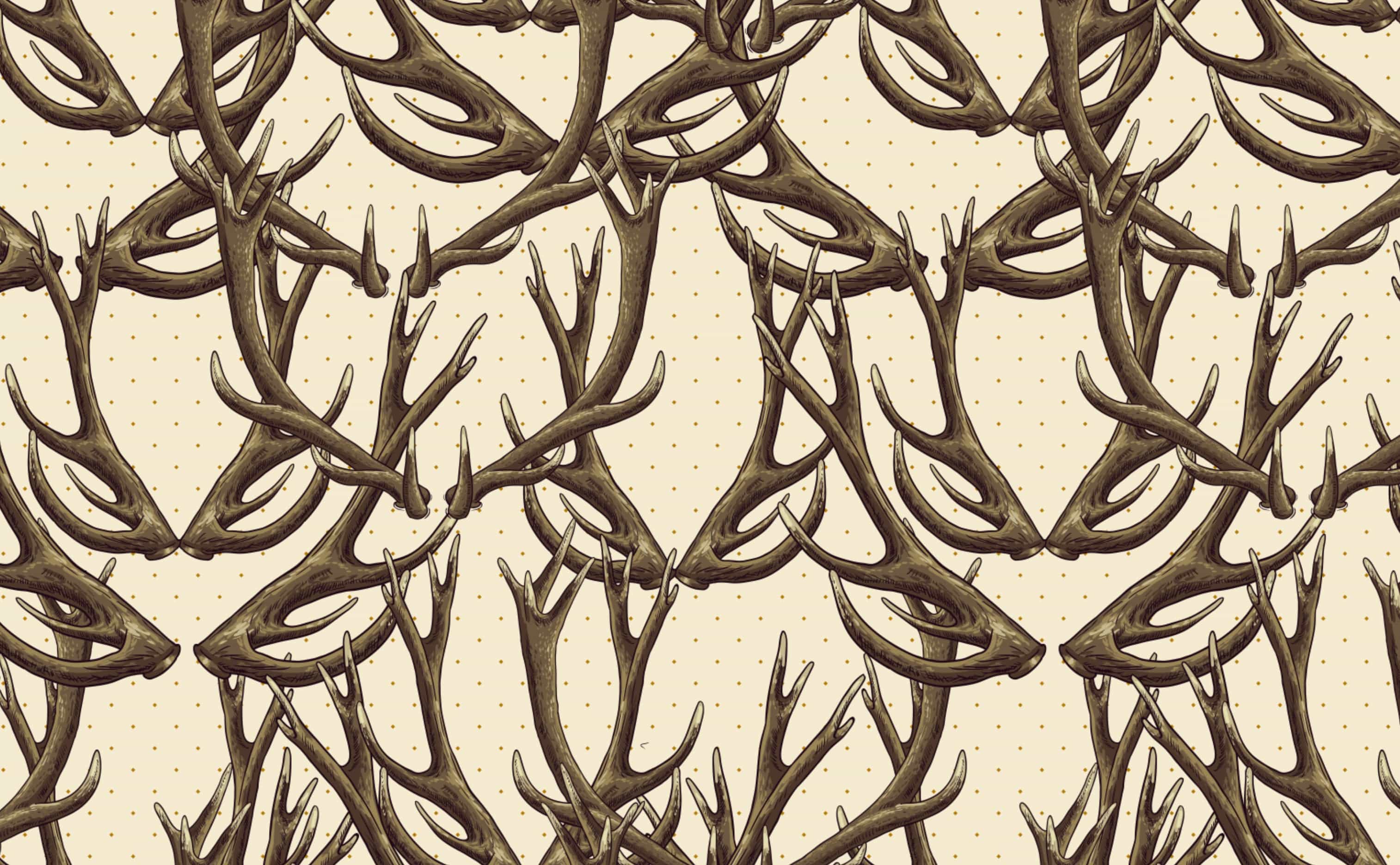 Deer Disorder Wallpaper by Walls Need Loveﾮ